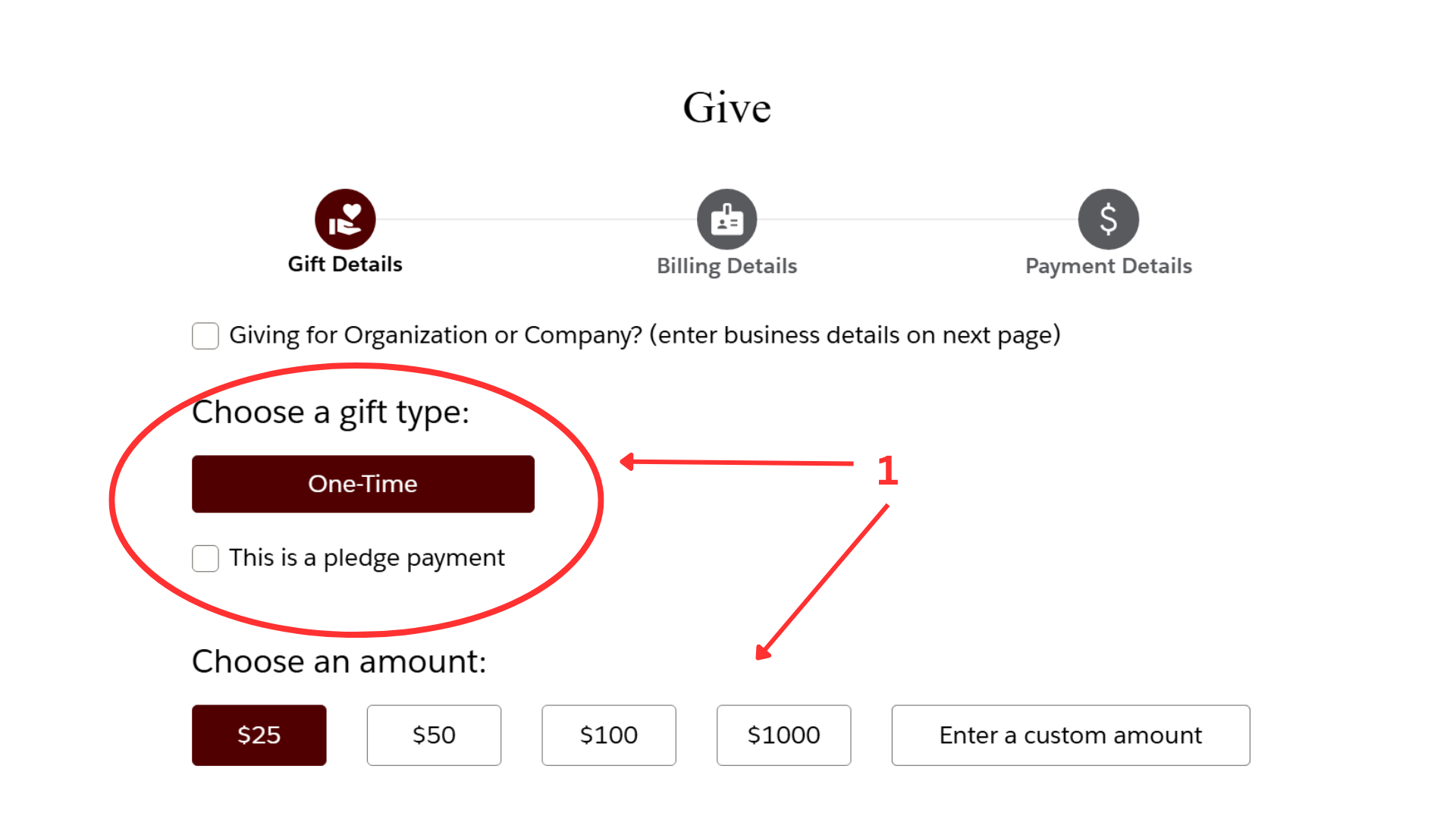 Screenshot of donation form