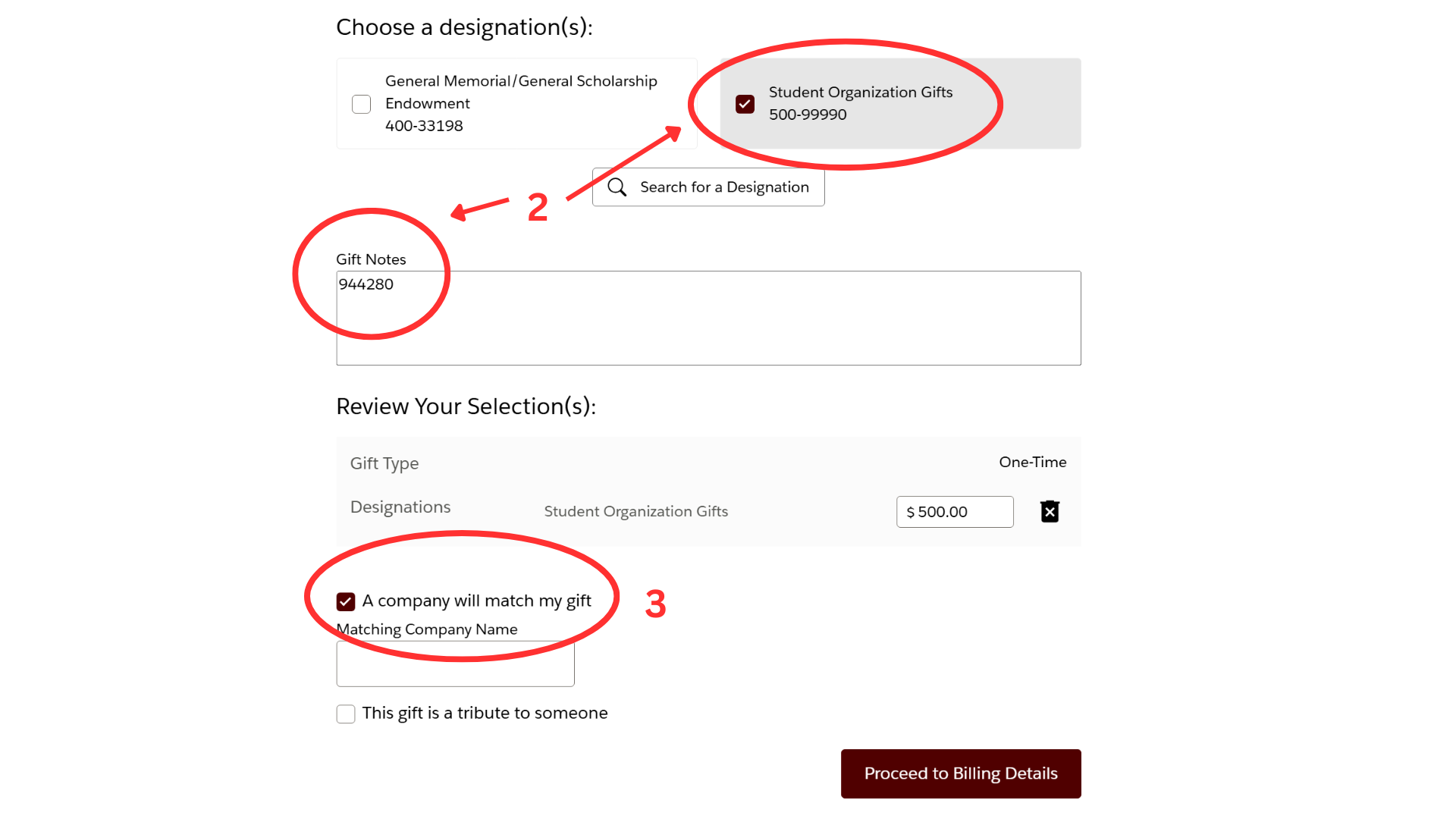 Screenshot of donation form